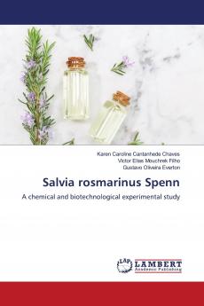 Salvia rosmarinus Spenn