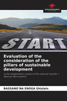 Evaluation of the consideration of the pillars of sustainable development