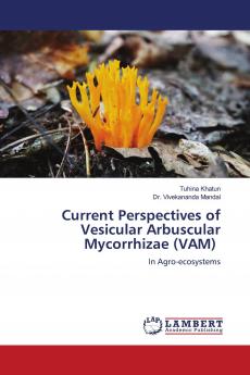 Current Perspectives of Vesicular Arbuscular Mycorrhizae (VAM)