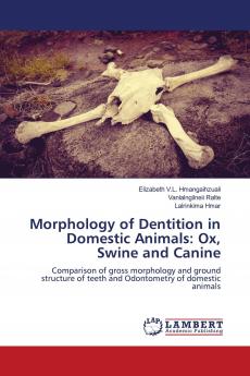 Morphology of Dentition in Domestic Animals: Ox Swine and Canine