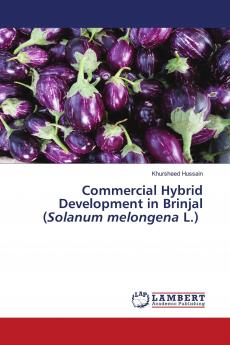 Commercial Hybrid Development in Brinjal (Solanum melongena L.)