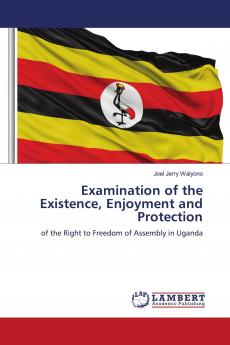 Examination of the Existence Enjoyment and Protection