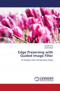 Edge Preserving with Guided Image Filter