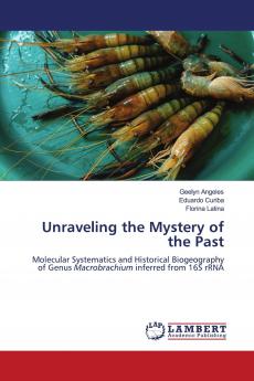 Unraveling the Mystery of the Past