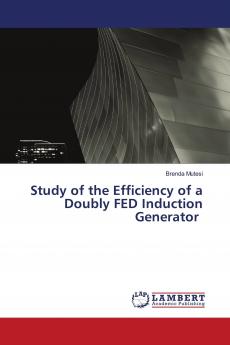 Study of the Efficiency of a Doubly FED Induction Generator