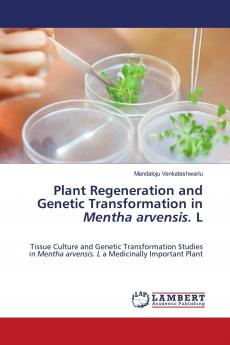 Plant Regeneration and Genetic Transformation in Mentha arvensis. L