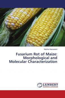 Fusarium Rot of Maize