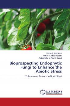 Bioprospecting Endophytic Fungi to Enhance the Abiotic Stress