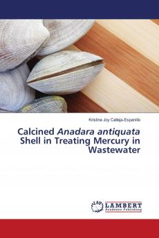 Calcined Anadara antiquata Shell in Treating Mercury in Wastewater