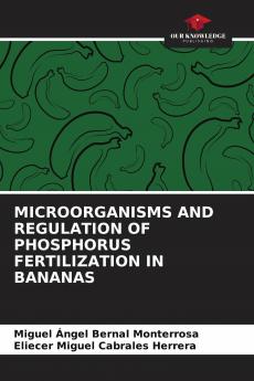 MICROORGANISMS AND REGULATION OF PHOSPHORUS FERTILIZATION IN BANANAS