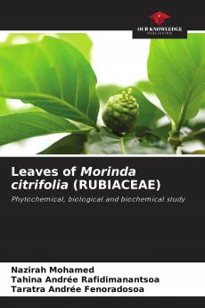 Leaves of Morinda citrifolia (RUBIACEAE)