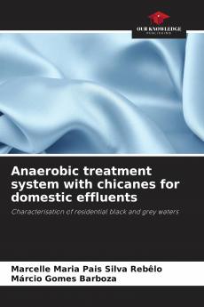Anaerobic treatment system with chicanes for domestic effluents