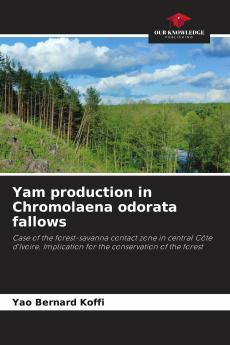Yam production in Chromolaena odorata fallows