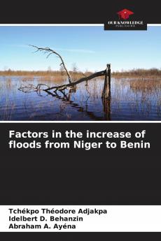 Factors in the increase of floods from Niger to Benin
