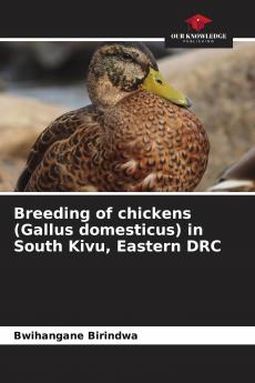 Breeding of chickens (Gallus domesticus) in South Kivu Eastern DRC