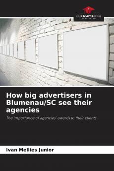 How big advertisers in Blumenau/SC see their agencies