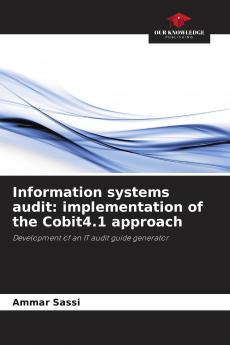 Information systems audit