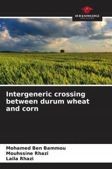Intergeneric crossing between durum wheat and corn