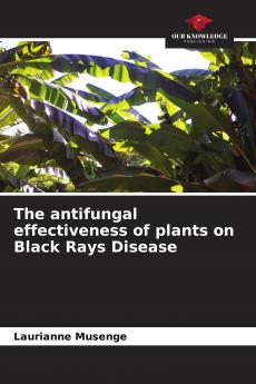 The antifungal effectiveness of plants on Black Rays Disease