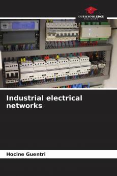 Industrial electrical networks