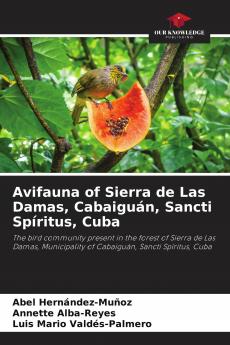 Avifauna of Sierra de Las Damas Cabaigu��n Sancti Sp��ritus Cuba