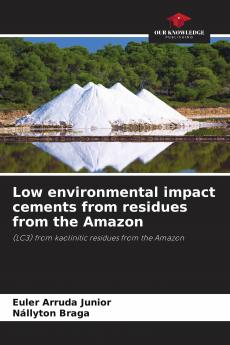 Low environmental impact cements from residues from the Amazon