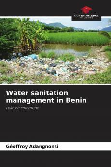Water sanitation management in Benin