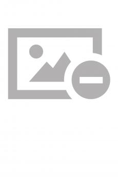 Digital documents