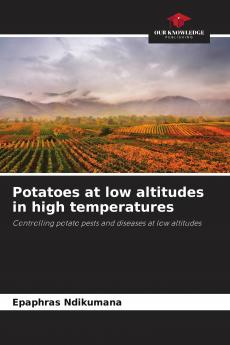 Potatoes at low altitudes in high temperatures