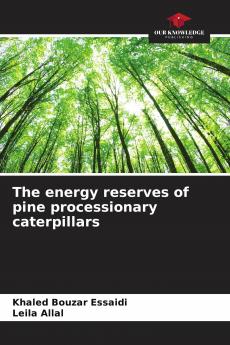 The energy reserves of pine processionary caterpillars