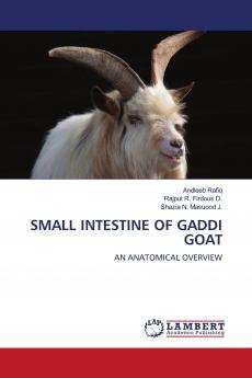 SMALL INTESTINE OF GADDI GOAT