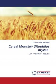 Cereal Monster- Sitophilus oryzae