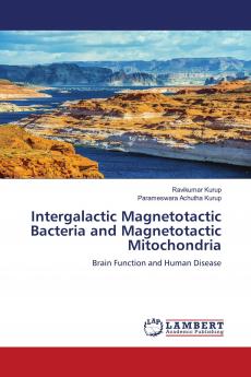 Intergalactic Magnetotactic Bacteria and Magnetotactic Mitochondria