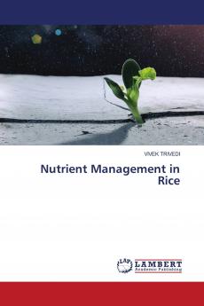 Nutrient Management in Rice