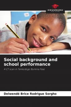 Social background and school performance