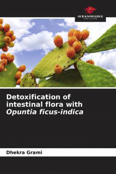 Detoxification of intestinal flora with Opuntia ficus-indica