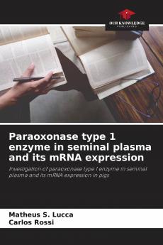 Paraoxonase type 1 enzyme in seminal plasma and its mRNA expression