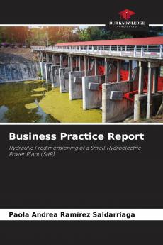 Business Practice Report