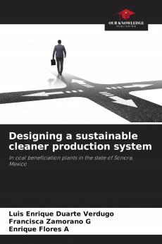 Designing a sustainable cleaner production system