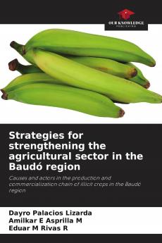 Strategies for strengthening the agricultural sector in the Baud�� region