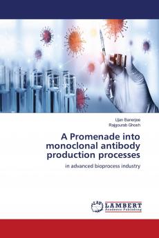 A Promenade into monoclonal antibody production processes