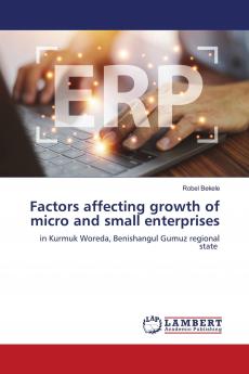 Factors affecting growth of micro and small enterprises
