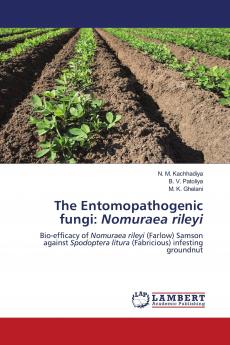 The Entomopathogenic fungi