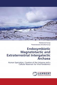 Endosymbiotic Magnetotactic and Extraterrestrial Intergalactic Archaea
