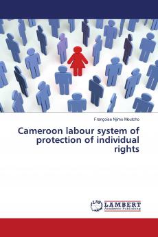 Cameroon labour system of protection of individual rights