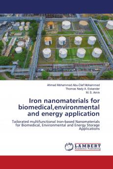 Iron nanomaterials for biomedicalenvironmental and energy application