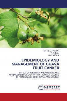EPIDEMIOLOGY AND MANAGEMENT OF GUAVA FRUIT CANKER