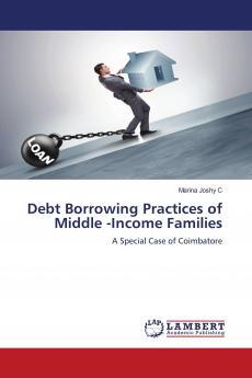 Debt Borrowing Practices of Middle -Income Families