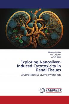 Exploring Nanosilver-Induced Cytotoxicity in Renal Tissues