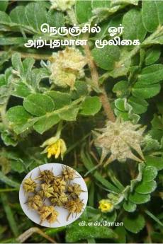 Nerunjil Oor Arputhamana Mooligai / ?????????? ??? ????????? ??????: ?????? ??????????